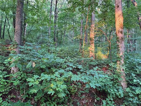 County Road 4225, Combs, AR 72721 photo 46