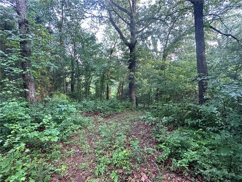 County Road 4225, Combs, AR 72721 photo 15
