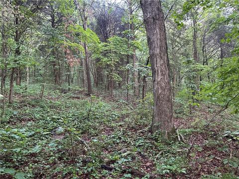 County Road 4225, Combs, AR 72721 photo 33