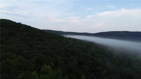 County Road 4225, Combs, AR 72721 photo 5