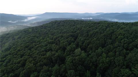 County Road 4225, Combs, AR 72721 photo 51