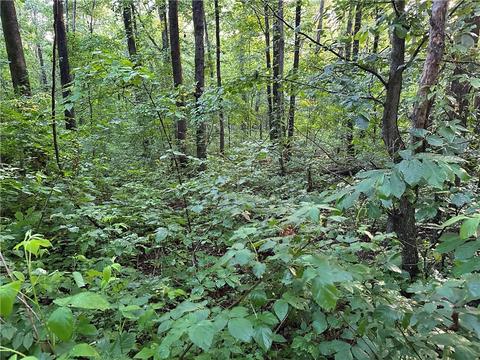 County Road 4225, Combs, AR 72721 photo 44