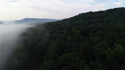 County Road 4225, Combs, AR 72721 photo 9