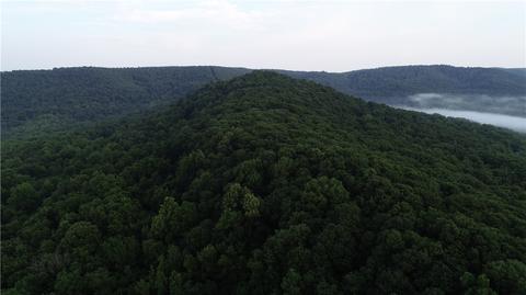 County Road 4225, Combs, AR 72721 photo 49