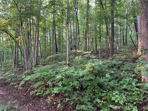County Road 4225, Combs, AR 72721 photo 47