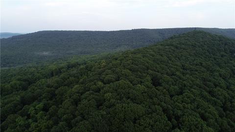 County Road 4225, Combs, AR 72721 photo 48