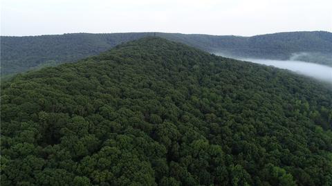 County Road 4225, Combs, AR 72721 photo 7