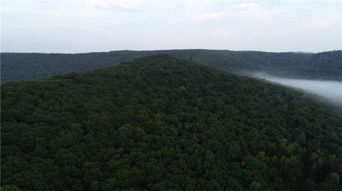 County Road 4225, Combs, AR 72721 photo 3