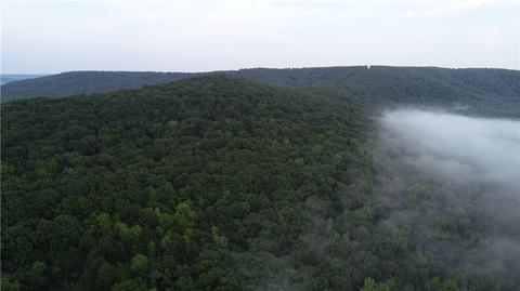 County Road 4225, Combs, AR 72721 photo 6
