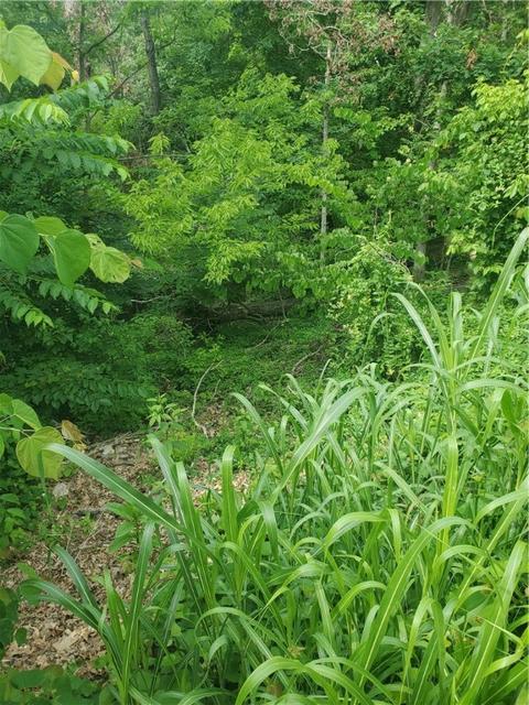 11 Hampstead Lane, Bella Vista, AR 72714
