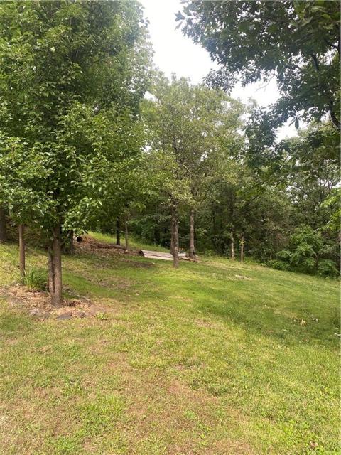 4357 Cherry Tree Ln, Harrison, AR 72601 photo 12