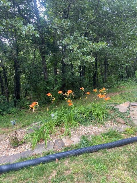4357 Cherry Tree Ln, Harrison, AR 72601 photo 3