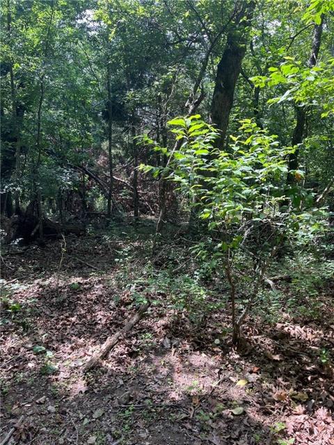 Strathdon Lane, Bella Vista, AR 72715