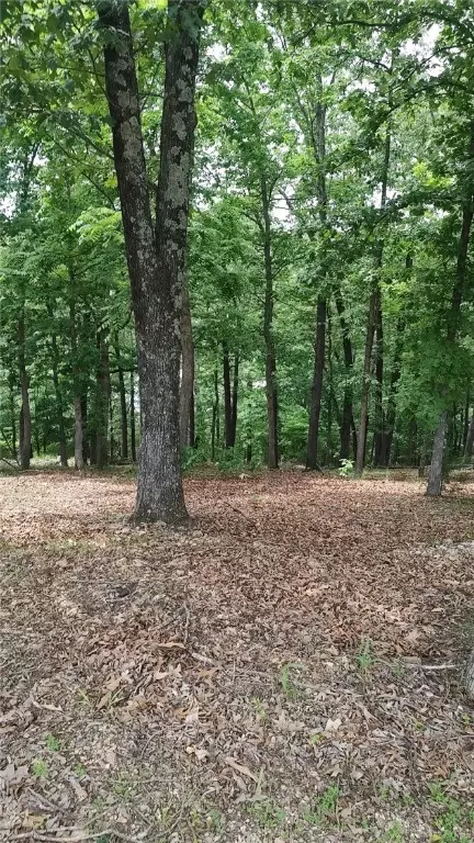 150 Center Rd, Eureka Springs, AR 72631