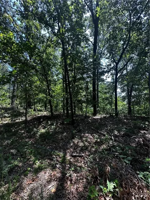 Colney Lane, Bella Vista, AR 72714