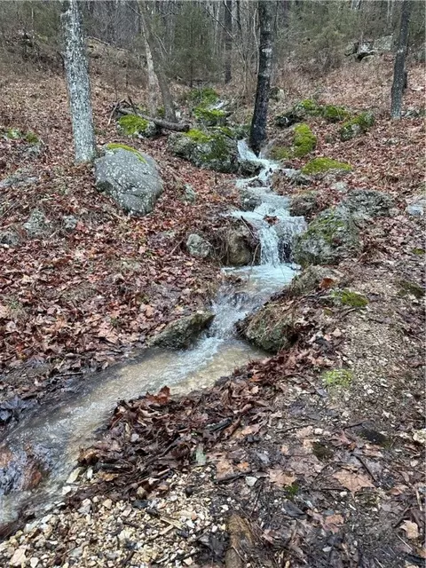654 Mill Hollow Rd, Eureka Springs, AR 72632