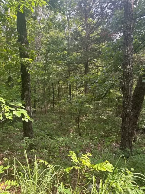 Ventris Road, Rogers, AR 72732