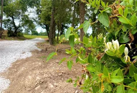 Tract 4 Ladelle Avenue, Lowell, AR 72745
