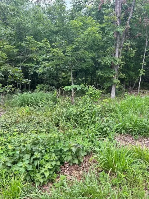 Linlithgow Lane, Bella Vista, AR 72715