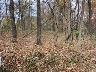 Kilbride Lane, Bella Vista, AR 72715