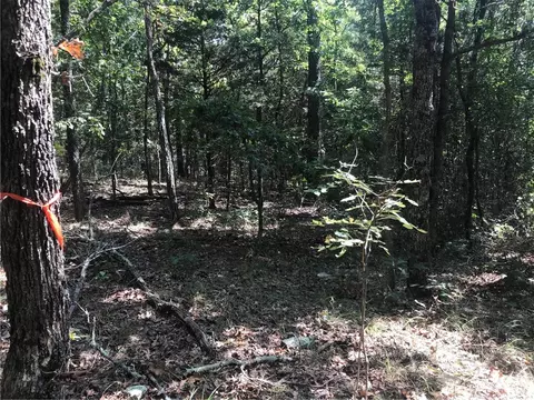 Madison 6124, Elkins, AR 72727
