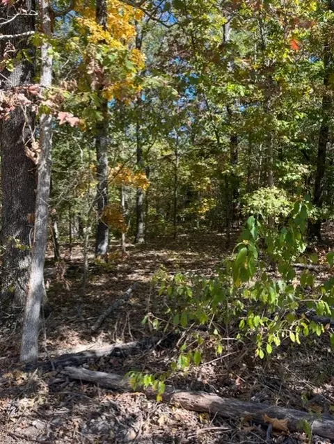 Fountainhall Drive, Bella Vista, AR 72715
