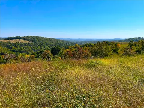 Tract 4- 77 Acres Highway 5, Gainesville, MO 65655