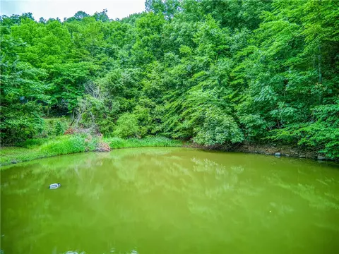 537 Nc 6450, Jasper, AR 72641 photo 6