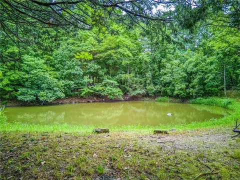 537 Nc 6450, Jasper, AR 72641 photo 5