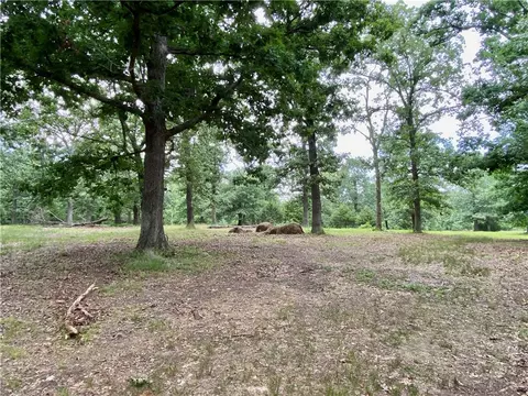 11601 Roupe Rd, Gentry, AR 72734 photo 42