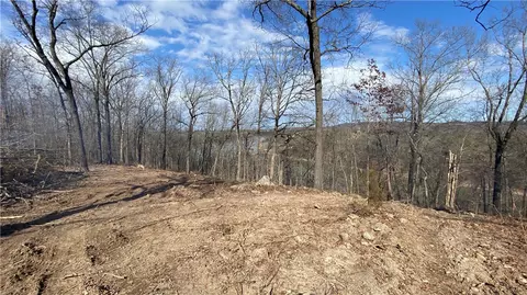 Lot 24 Farm Road 1250, Golden, MO 65658