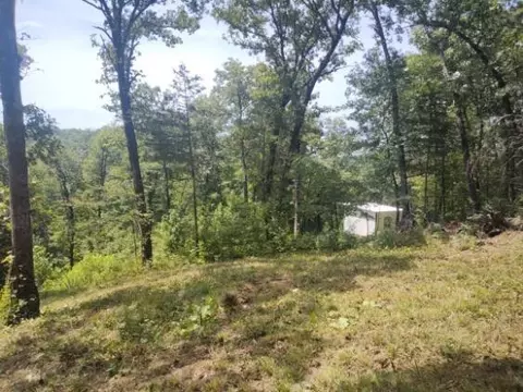1463 Madison 6041, Elkins, AR 72727