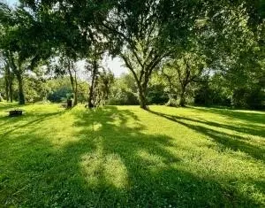 320 Old 88, Jane, MO 64856 photo 31