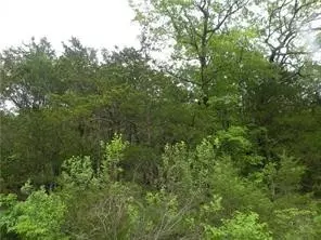 15 Arapahoe Dr, Holiday Island, AR 72631