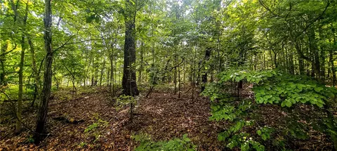 Peebles Circle, Bella Vista, AR 72715