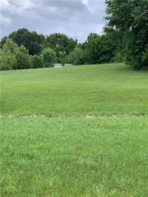 Lot 47 Blockade Village, Seligman, MO 65745