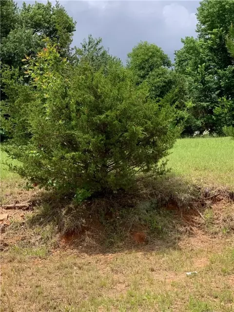 Lot 45 Blockade Village, Seligman, MO 65745