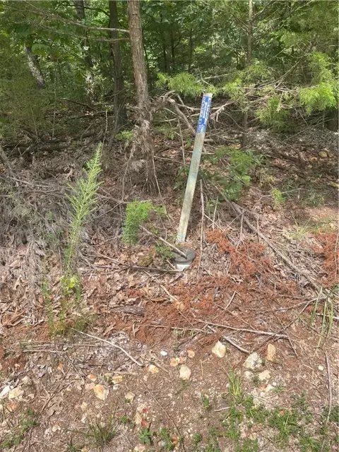 001 Beartrap Rd, Springdale, AR 72764 photo 5