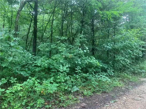 Tbd Cr 2143, Eureka Springs, AR 72632