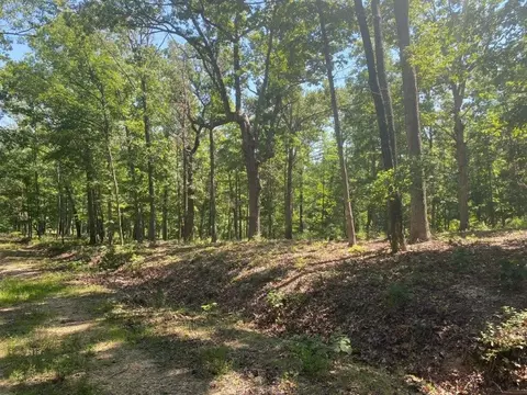 11413 Long Branch Rd, Rogers, AR 72756