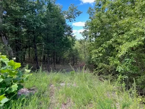 40 Starlite Ave, Holiday Island, AR 72631