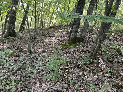 tbd Clover Ln, Rogers, AR 72756 photo 2
