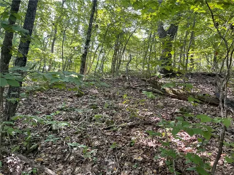tbd Clover Ln, Rogers, AR 72756 photo 3