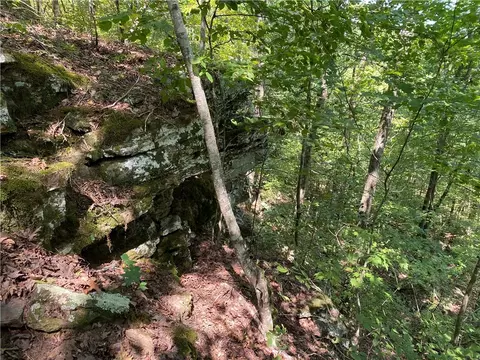 21377 Redding Rd, Ozark, AR 72949 photo 42