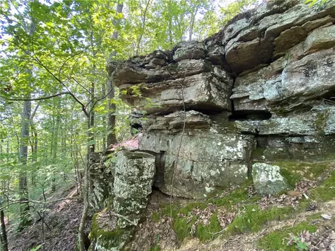 21377 Redding Rd, Ozark, AR 72949 photo 44
