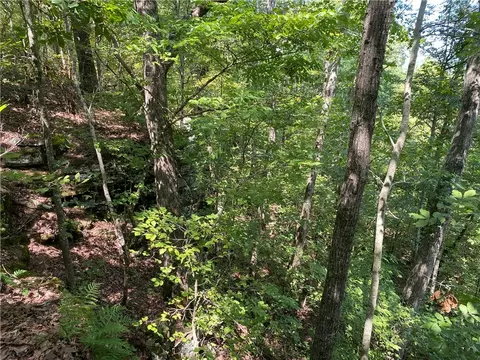 21377 Redding Rd, Ozark, AR 72949 photo 41