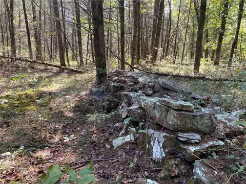21377 Redding Rd, Ozark, AR 72949 photo 39