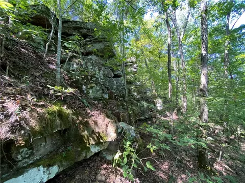 21377 Redding Rd, Ozark, AR 72949 photo 43