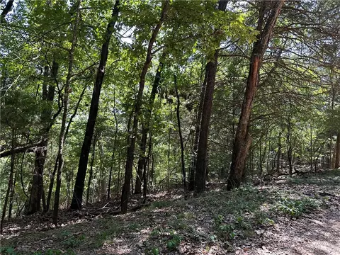 Oak Leaf Circle, Rogers, AR 72732 photo 6