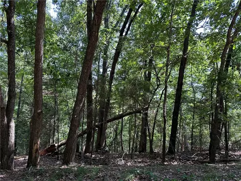 Oak Leaf Circle, Rogers, AR 72732 photo 5